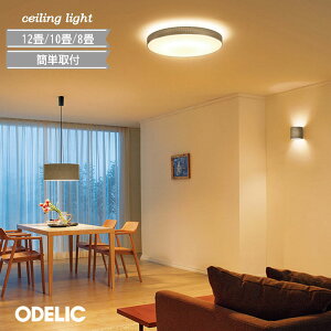 V[OCg I[fbN  F 12 10 8 zZ[h led i` k VƖ ȒPt AC{[ `mx[W ODELIC rO Q m JtF Rt 