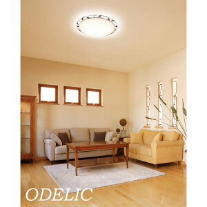 V[OCg  6 8  10 12 I[fbN  F Rt VƖ rO Q led Ki ACA[N [t t 킢 AeB[N ODELIC k i`