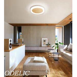 シーリングライト オーデリック 12畳 10畳 8畳 かわいい 調光 調色 シンプル ODELIC 木調ナチュラル色 木調ウォールナット色 ナチュラル 北欧 ソリッドリング 天井ぴったり 虫が入りにくい LED一