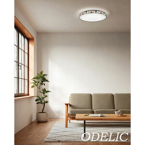 V[OCg I[fbN XehOXfUC  F 12 10 8 6 ȒPt VƖ 킢 k led V ODELIC Ao[F XO[F i` OL291160R OL291159R O