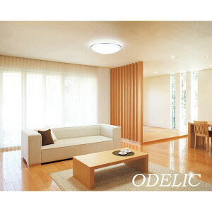 V[OCg 14 12 10 8 6 k LED VƖ  ODELIC Vv  F ȒPt led Ki I[fbN rO Q q   tH[ Rt i`