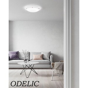 V[OCg 12 10 8 6  I[fbN   ODELIC  AWXgF r[Y tF~j i` JubN 킢 LEĎ^ k zCg p[v VƖ 