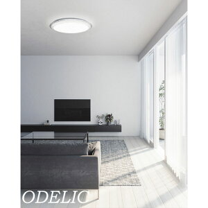 I[fbN V[OCg ANA ACX  F 12 10 8 6 led VƖ rO Q Ki ODELIC  LEĎ^ AQUA Ice k tH[  ȒPt Rt A