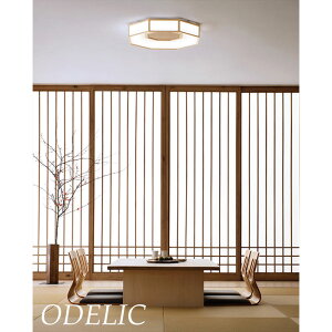 V[OCg I[fbN 10 8  a a_ a a 킢 p` Rʔ Vv Vi ODELIC i` k Q rO m VƖ led ȒPt Bluetoot