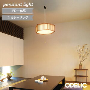  y_gCg `12 EF I[fbN a dFEF LEĎ^ ODELIC  ؔ̕ƃ_[NȐFAÖƃX^C⃂_Șa̋Ԃɒa܂ OP252687R