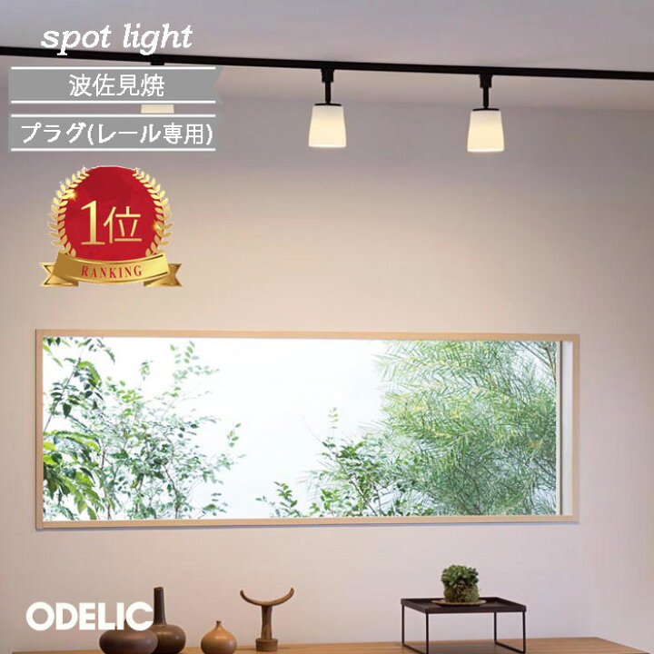 楽天市場】【楽天1位】 スポットライト LED プラグ ダクトレール 