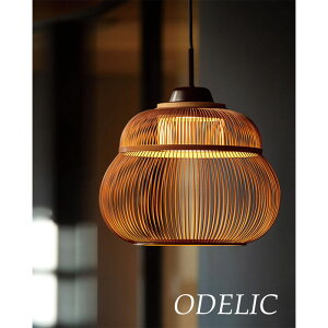 y_gCg I[fbN a | { dF F F |V[O ODELIC  a led Ki ݂艺 a k LEDv M100WE60W made in NIPPON rO X 