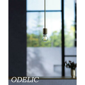 y_gCg I[fbN tBgv Be[W dF C_XgA S[h FwACbL ODELIC  LEDv M40W |V[O vO 