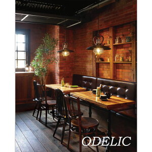 y_gCg ODELIC AeB[N iX g o[ I[fbN  KX Ö qr͗l ݂艺 Lb` _CjO X JtF |V[O dF M40W LED