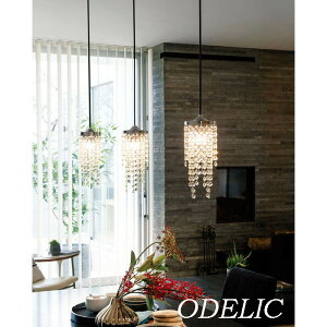 y_gCg I[fbN NX^KX |V[O vO _Ng[ GKg ؂₩ S[WX ODELIC  OWA[  F Ki 킢 ݂艺 