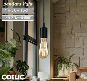 ペンダントライト フィラメント球 北欧 led オーデリック おしゃれ ヴィンテージ ノスタルジック 電球色 LED 白熱灯30W相当 リノベーション 引掛けシーリング プラグ 小型 ダクトレール キッチ