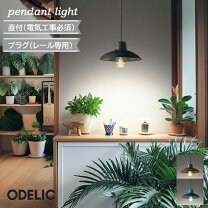 楽天市場】オーデリック 玄関灯（ペンダントライト・吊下げ灯｜天井 