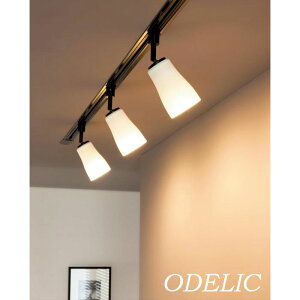 X|bgCg ODELIC g made in NIPPON I[fbN Vv  L Ki a_ ǖʁEVʁEXΖʎtp vO^Cv fUC VGbg D RpNg LED 
