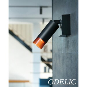 X|bgCg Ǖt  led Ki uPbgCg p I[fbN A(ʔ) ~j}-GX vXANZg ItzCgF F TeS[hF JDR50W ODELIC 