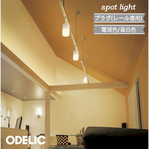 X|bgCg I[fbN vO _Ng[  ǖ V XΖ ItzCg Vv   dF F 񒲌 led M100W L X { rO _CjO