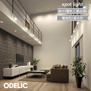 X|bgCg I[fbN t ǖ V XΖ  ItzCg Vv   dF F 񒲌 led M100W L X { rO _CjO Q Ki 