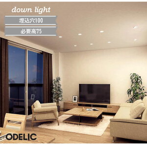 _ECg  F I[fbN ItzCg ubN dF F   60WNX 100WNX { rO _CjO L a@ Vz   LED 100 Kv75 CSB