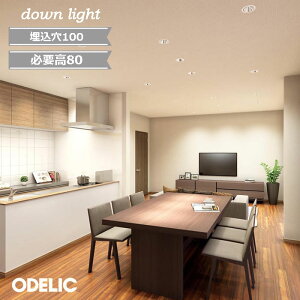 _ECg LED I[fbN OAX ~fBAz ItzCg ubN dF  60WNX 100WNX { rO _CjO L a@ Vz   100 Kv80 