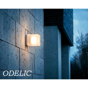 OƖ I[fbN \D led Vv  }bgVo[ L[u^ k Ki ODELIC hJ^ dF LEĎ^ dCHK{ ǖʏƖ ZT[ ZT[ AN 킢 i`