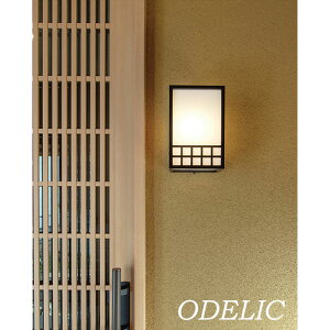 OƖ I[fbN \D led Vv   a k Ki ODELIC hJ^ dF dCHK{ ǖʏƖ ZT[t ZT[ lmJ lʃJ 킢 i` a