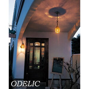 |[`Cg  ODELIC KX ݂艺 ZsAF  ȈՖhJ^ tp V ͗l I[fbN  VbN AeB[N [sA ACA[N dF LED