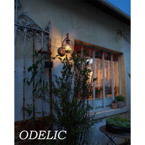 |[`Cg I[fbN   ODELIC GNXeA ֓ ^  AeB[N dF k i` LEDd M40W led OG254037LCR Q[WJ I[ig  O