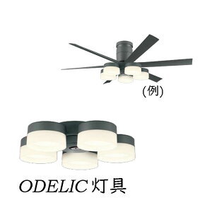 V[Ot@  LED 6 5 ODELIC Ki led ̂ݔ̔ ItzCgF `R[O[F 8 10  F I[fbN  Z[h^Cv LEDd WF247 WF249P1 WF237PR1