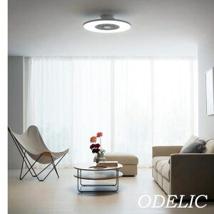 V[Ot@ ^ I[fbN  F 8 ̈̌^ ItzCg `R[O[ tbg ODELIC  Vv DC[^[t@ Rt k X^CbV OL291438