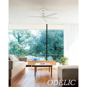 シーリングファン DCモーターファン おしゃれ おすすめ 人気 オーデリック 本体 直付 パイプ吊り 省エネ効果 6枚羽根 北欧 シンプル スタイリッシュ モダン 吹き抜け リビング リモコン付き