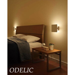 uPbgCg  ODELIC dCHK{ led ǖʏƖ I[fbN dF LEĎ^ Vv ԃfUC ㉺z lp k XNGA   { Q m rO OB255183