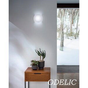 uPbgCg I[fbN ANA2   AN dF F F p LEDv PV M60W ǖʏƖ dCHK{ L Ki 킢 OB255360LR OB255360NR