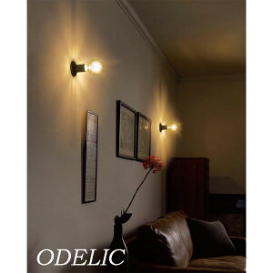 uPbgCg I[fbN  ODELIC V䒼tƖ dCHK{ p Ɩ ^V[OCg Be[W C_XgA LEDdtBg`{[ M30W 