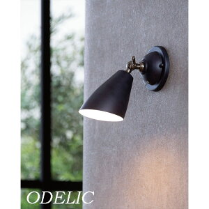 uPbgCg Ǖt p I[fbN 񒲌 M60W dF F F ODELIC g k 킢 Ki led L Ki dCHK{ CsOd LEDv  