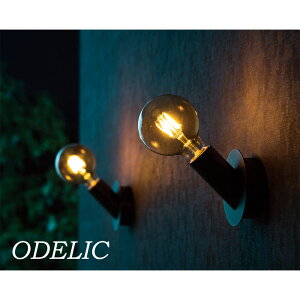 uPbgCg ^J  k tBg I[fbN led ^ ODELIC Be[W C_XgA ǖʏƖ dCHK{ L Ki rO JtF Ki V XΖʎt