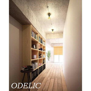 V䒼tƖ uPbgCg ^V[OCg VƖ I[fbN  lC  Vv p L N[[bg Be[W C_XgA LEDdtB