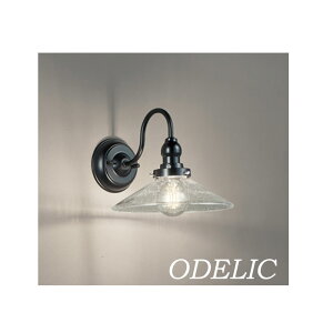 uPbgCg I[fbN p KX P 킢 g ǖʏƖ L Ki dCHK{ tBg ODELIC  Vv dF LEDv Ö a_ a 吳Q