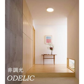 Flat plate オーデリック ブラケット ライト 寝室 照明 おしゃれ オーデリック ODELIC ブラケットライト OB255301LR 電球色 木調エボニーブラウン色 巾1,342 インテリアをモダンに彩る間接光のあかり FL40W DIY・エクステリアG-STYLE - 通販 - Yahoo ショッピング