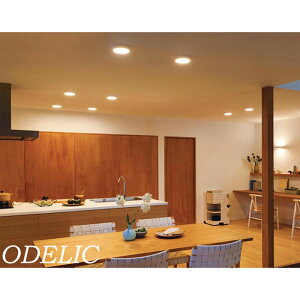 I[fbN V[OCg ^ 150mm    k ^ ItzCgF F led lC V   odelic Vv rO N[[bg L  RpNg 񒲌 