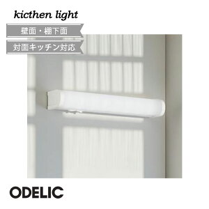 Lb`Cg led  I[fbN ^ OB255182R  茳 ǖ I ΖʃLb`Ή XCb`t RZgt F FL15W LEĎ^ ODELIC  Vv Lb`Ԃ