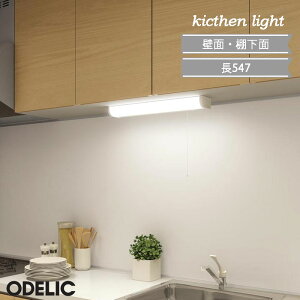 Lb`Cg led  I[fbN ^ OB255232  茳 ǖ I XCb`t F FL20W ODELIC  Vv Lb`Ԃ茩锖^fUC Iʎt