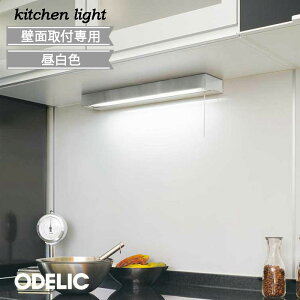 Lb`Cg I[fbN ^ XeX 茳 ǖʎtp XCb`t F FL20W FL40W led k X^CbV ODELIC  Vv Lb` x[XCg Lb`C