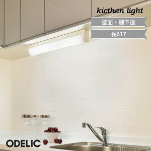 Lb`Cg led  I[fbN ^ OB555105R  茳 ǖ I ΖʃLb`Ή XCb`t RZgt F FL20W ODELIC  Vv Lb`Ԃ