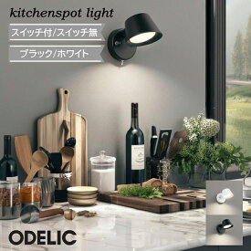 キッチンスポットライト オーデリック ブラケットライト 屋内用 電球色 昼白色 温白色 電気工事必須 かわいい 北欧 LEDランプ 廊下 階段 壁面照明 ホワイト ブラック コンパクト 小型 シンプル 空間 ナチュラル 正規品 スポットライト キッチン 手元灯 作業灯 カフェ風