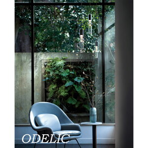 y_gCg KX I[fbN o[i[[N t vO _Ng[ ݂艺 k C_XgA g gC Lb` _CjO R[h dF led ubN ODELIC 