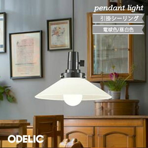 y_gCg ODELIC  PVKX P I[fbN  Vv |V[O dF F LEDv M100W ݂艺 Lb` _CjO led  JtF 吳Q