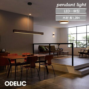 y_gCg I[fbN ؍ Be[W  ODELIC dF LEĎ^ FL40W Ki rO _CjO ^ ؐpl R dF OP252531R