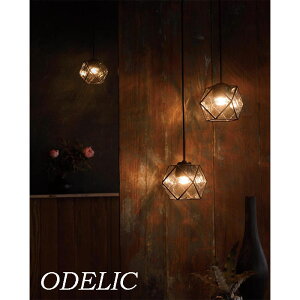 y_gCg ^ KX ODELIC ݂艺 vO _Ng[ I[fbN  a 吳 g bR XehfUC dF LED M60W gC Lb` _Cj