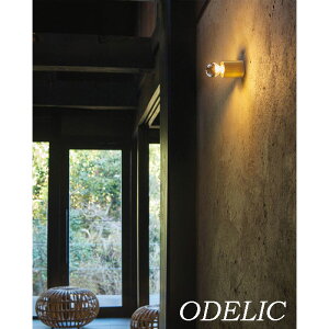 VƖ  t V[OCg ^ led ǖ uPbgCg d dF ~[^Cv I[fbN Vi Ki k C_XgA g dCHK{ F F 