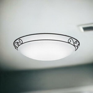 ^V[OCg  ACA Jg[ ͗l I[fbN Ki ODELIC  a@ L k V led 킢  dF F ɂ XJ{ [gAC