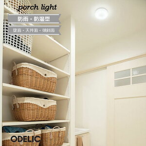 Ɩ LED ǖ oX[Cg ODELIC tbgv[g  FLAT PLATE GNXeA ֓ I[fbN led  ^ Sz^Cv o50mm  Vv dF F LEĎ^ 